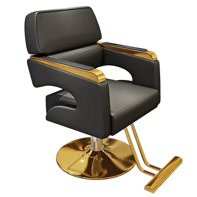 WSSC8 Salon Styling Chair